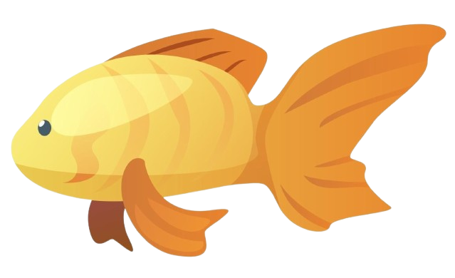 Healthy, Tasty & Authentic Dry Fish