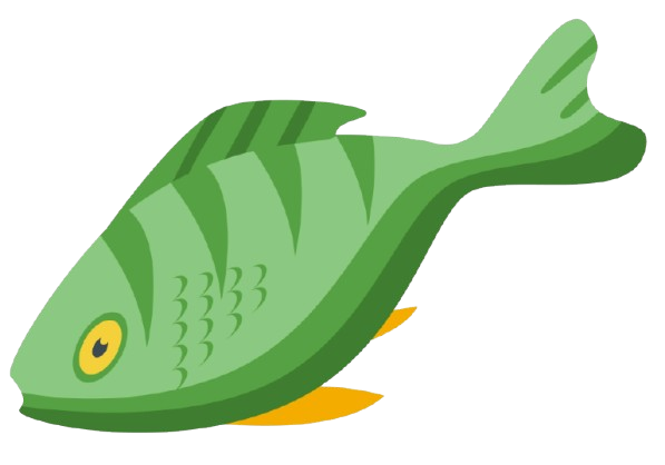 Healthy, Tasty & Authentic Dry Fish